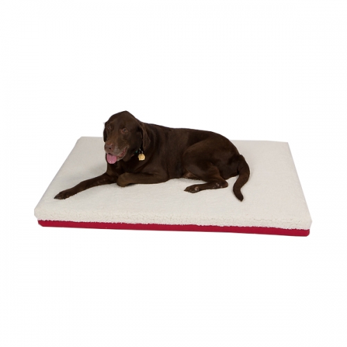Pet Support Systems Organic Latex Orthopedic Dog Bed