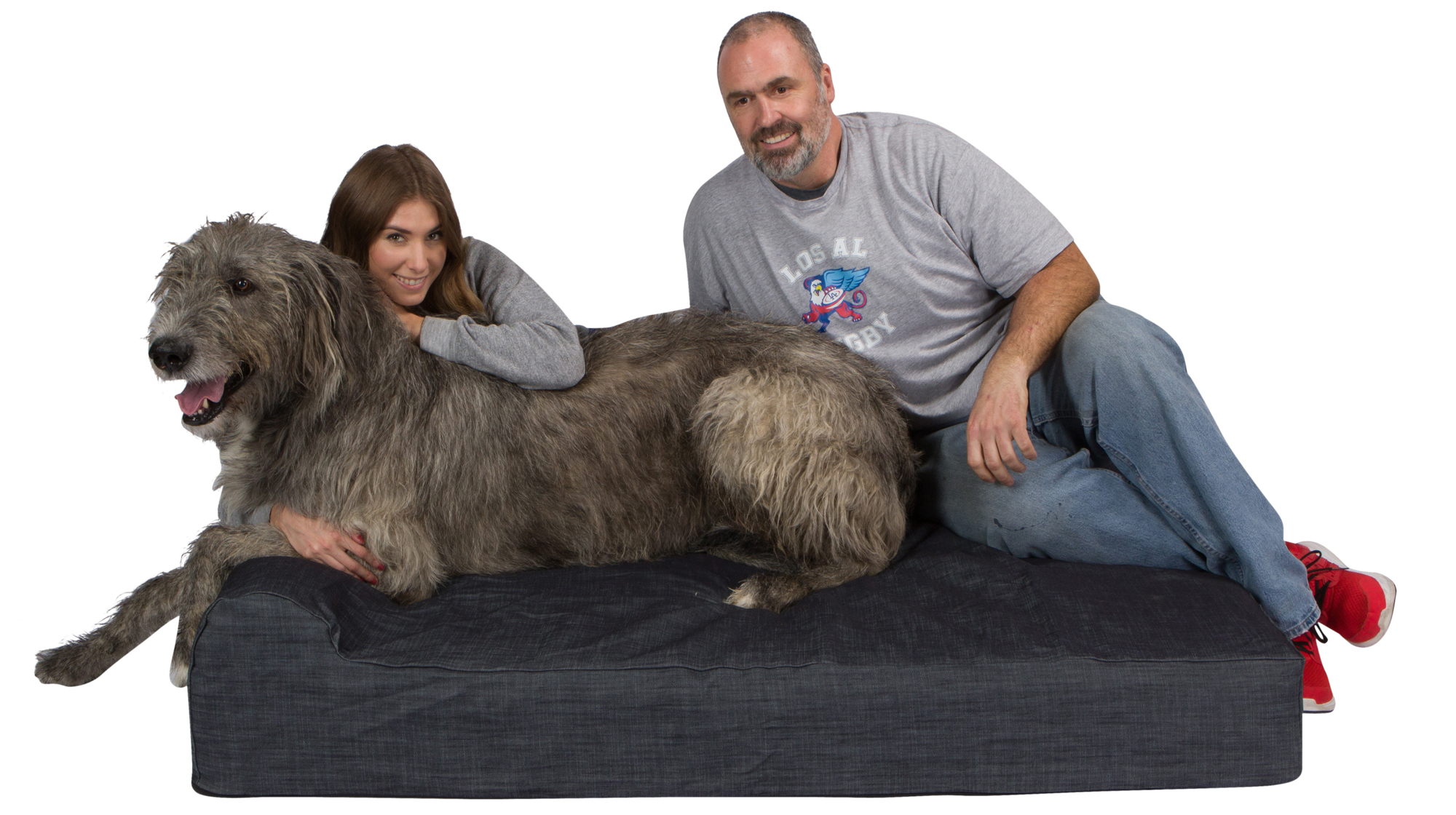 How To Choose An Orthopedic Dog Bed